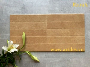 Gạch ốp tường trang trí 30x60cm ArtR109A