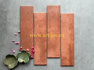 Gạch thẻ cam loang nhám mờ G22