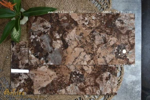 Gạch vân đá Marble màu nâu 60x120 ArtEB903