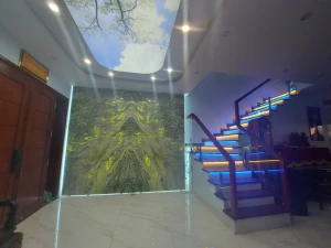 Tranh đá xuyên sáng Onyx - HTO-6821