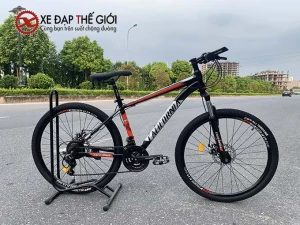 Xe đạp thể thao California 100cc -24 in