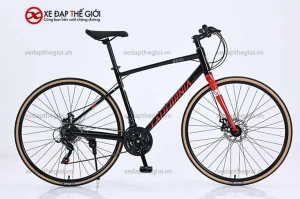 Xe Đạp Touring California S570