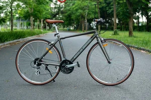 Xe đạp touring MAGICBROS VISION