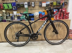 GIANT ANYROAD ADV 1 2023 (Ghi đông road, khung carbon)