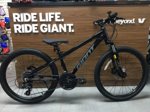 GIANT ATX 24 D-1 2025 (1M35-1M55)