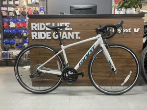 GIANT CONTEND 3 2024