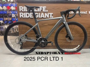 GIANT PCR LTD 1 2025