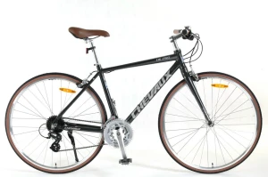Xe đạp city touring Chevaux DK Pro (thương hiệu Pháp xuất Nhật)