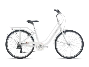 Xe đạp momentum INEED 1500 2024