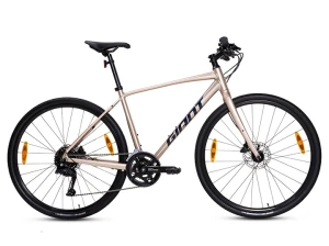 Xe đạp touring đường phố GIANT ESCAPE 1 DISC 2024