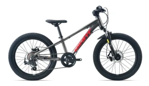 Xe đạp trẻ em GIANT XTC 20 D 2025