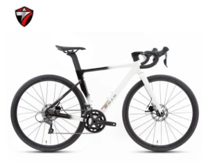 Xe đua Twitter C4 Pro R2000 2*8 speed khung nhôm