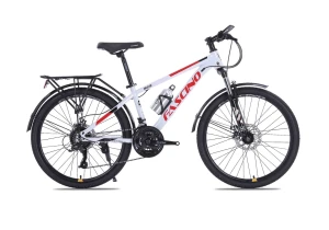Xe Đạp Địa Hình MTB Fascino 323 24 Inch - Khung Nhôm