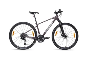 Xe Đạp Địa Hình MTB Giant Roam 2 Disc 2024