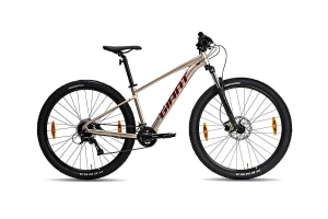 Xe Đạp Địa Hình MTB Giant Talon 3 29 Inch