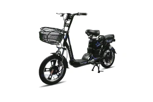 Xe Đạp Điện 16 Inch Action AC10-16