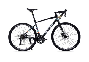 Xe Đạp Đua Fascino Triton