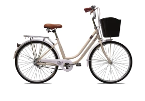 Xe Đạp Nữ Brave Will Relax 2 Sườn 24 Inch