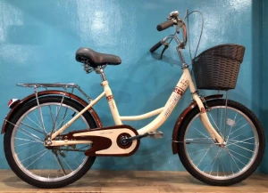 Xe Đạp Trẻ Em 20 Inch Cao cấp WINNER 2005 Màu Cafe