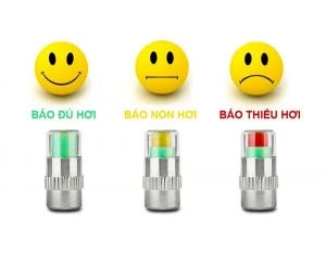 VAN BÁO HƠI XE ĐẠP (CẶP)