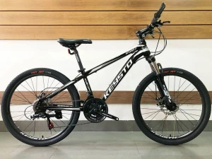 XE ĐẠP TRẺ EM - KEYSTO 24