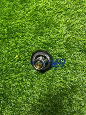 Van hằng nhiệt Accent 2008-2022 255002B400