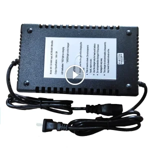 Bộ sạc xe đạp điện Pega 48V-12Ah - Hàng chính hãng - Phố Xe Điện