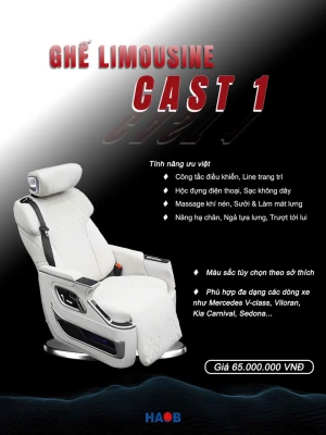Ghế VIP Limousine CAST 1 cho xe MPV (Carnival, Sedona, Viloran)