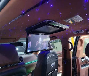 Màn hình TV ốp trần cho KIA CARNIVAL