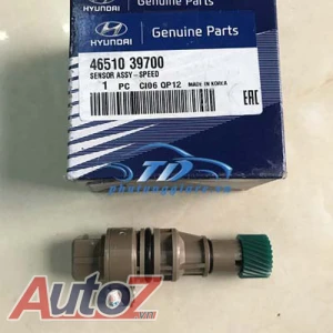 Sâu công tơ mét Hyundai Santafe gold 4651039700