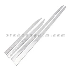 Nẹp sườn Ford Everest [2016-2020]