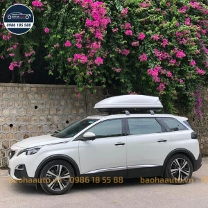 Cốp nóc lắp đặt cho dòng xe Peugeot