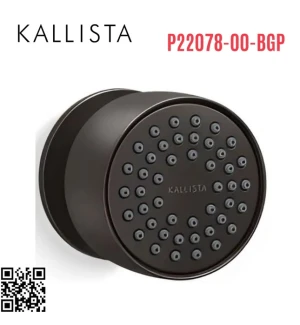 Bát sen tắm gắn tường màu đen Kallista P22078-00-BGP