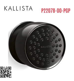 Bát sen tắm gắn tường màu đen Kallista P22078-00-PGP