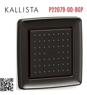 Bát sen tắm gắn tường vuông màu đen Kallista P22079-00-BGP