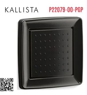 Bát sen tắm gắn tường vuông màu đen Kallista P22079-00-PGP