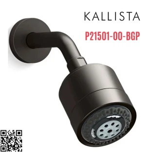 Bát sen tắm và tay sen gắn tường màu đen Kallista P21501-00-BGP