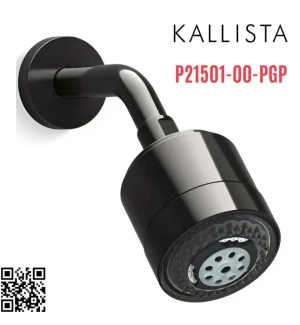 Bát sen tắm và tay sen gắn tường màu đen Kallista P21501-00-PGP