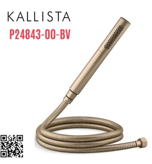 Bộ dây bát sen tắm cầm tay màu đồng Kallista P24843-00-BV