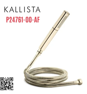 Bộ dây bát sen tắm cầm tay màu vàng Kallista P24761-00-AF