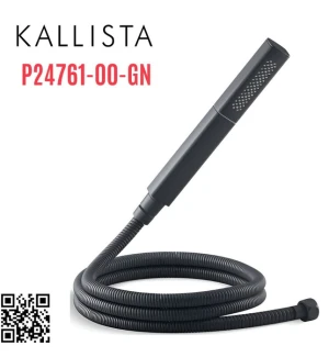 Bộ dây bát sen tắm cầm tay màu xanh đen Kallista P24761-00-GN