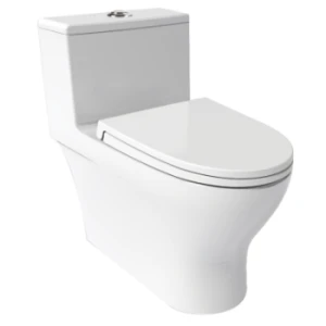 Bồn cầu một khối JOMOO 11160-2-5/31K-I011