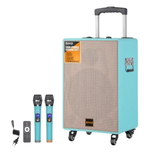 Loa kéo karaoke chính hãng B-V12 kèm 2 micro không dây