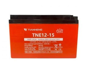 Bộ 4 Bình Ắc Quy Xe Đạp Điện Tianneng 12V-15Ah TNE12-15
