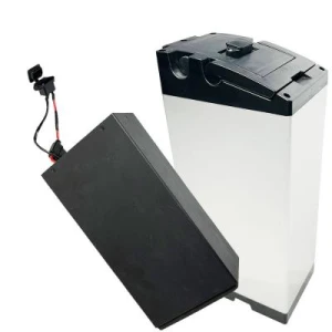 Pin xe điện lithium Lifepo4 48V30Ah cao cấp Xenon chuyên xe điện