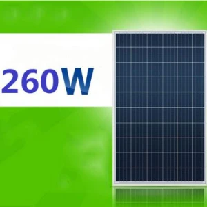 Tấm pin năng lượng mặt trời Poly 260W