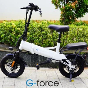 Xe đạp gấp gọn trợ lực điện G-Force F14 400W 2021