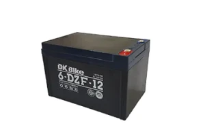 ẮC QUY XE ĐẠP ĐIỆN DK BIKE 48V 12AH