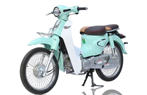 XE CUB ALLY NEW 50SE