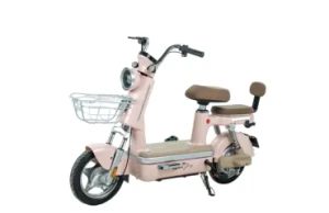 XE ĐẠP ĐIỆN ESPERO BE-JOY